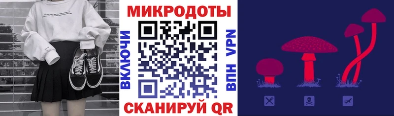 закладка  Невинномысск  Галлюциногенные грибы Psilocybine cubensis 