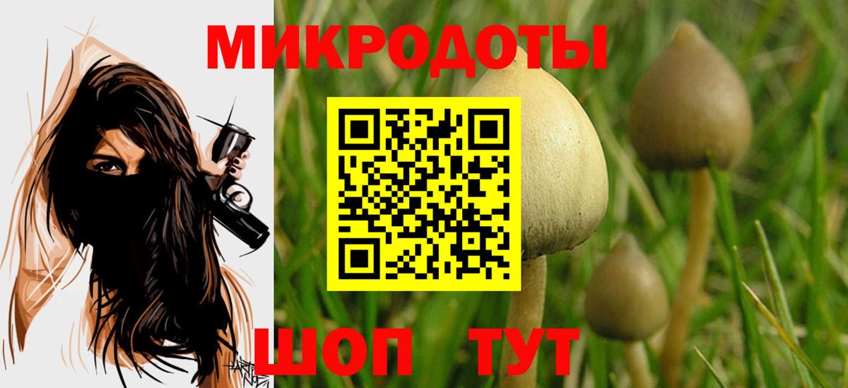 Галлюциногенные грибы мицелий  Вход с VPN  Невинномысск 
