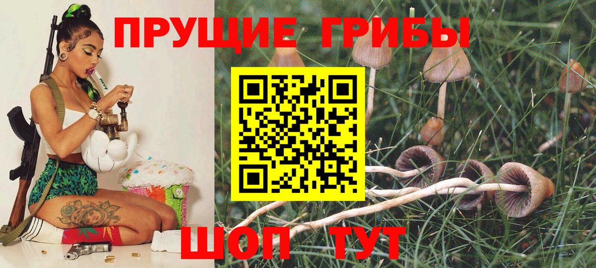 Псилоцибиновые грибы Psilocybine cubensis Невинномысск