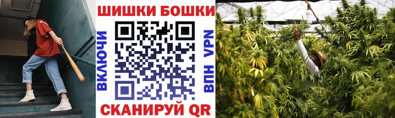Марихуана сатива  цены   Невинномысск 