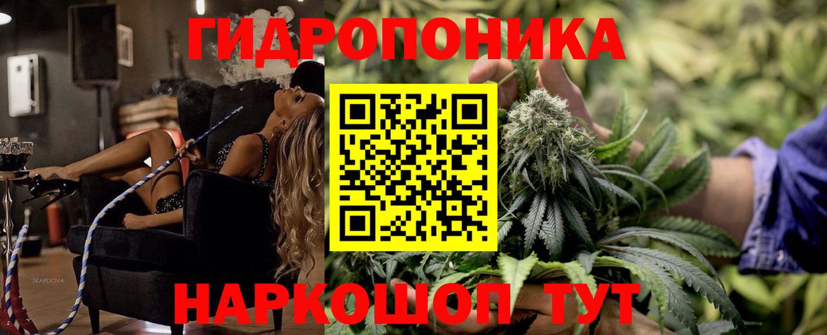 Невинномысск  Конопля сатива  Каннабис ГИДРОПОН  Марихуана OG Kush  Вход с VPN  Шишки марихуана ГИДРОПОН 