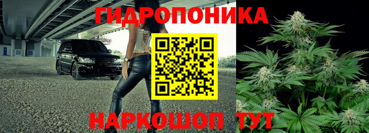 Бошки Шишки сатива Невинномысск